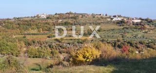 ISTRA, MOMJAN – Privlačno zemljišče z razgledom in kamnitimi stavbami