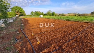 Zemljišče Ližnjan, 3.700m2