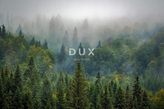 Zemljišče Bosiljevo, 23.931m2