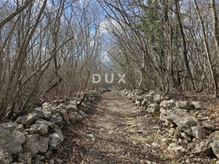 OTOK KRK, GOSTINJAC - Gozd 6201 m2, dostop z asfaltne ceste