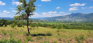 Zemljišče Kršan, 22.261m2