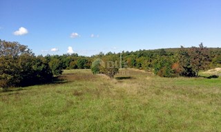 Ripenda Verbanci, Labin, 4.860m2