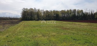 Umag, 5.180m2