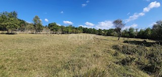 Zemljišče Grožnjan, 2.340m2
