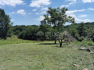 Zabrežani, Pazin - Okolica, 1.050m2