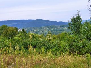 Sovinjak, Buzet, 1.958m2