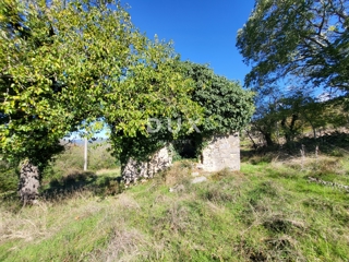 Hiša Boljunsko Polje, Lupoglav, 166m2