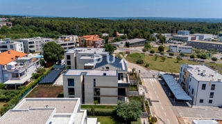 ISTRA, NOVIGRAD - Stanovanje z vrtom v moderni novogradnji