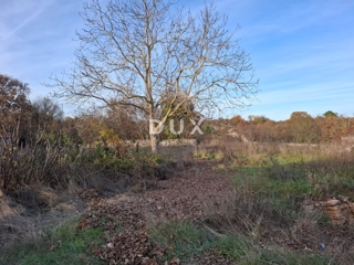 ISTRA, BALE - Gradbeno zemljišče v okolici