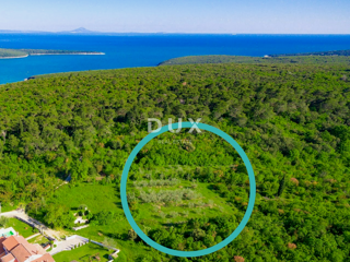 ISTRA, MARČANA - Prostorno zemljišče na robu vasi