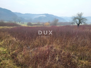 ISTRA, PIĆAN - Prostorno zazidljivo zemljišče v mirni vasi