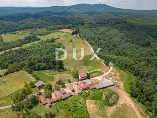 VRGINMOST, BLATUŠA - Veliko posestvo, kmetija z mehanizacijo in živalmi! 40 hektarjev zemlje!