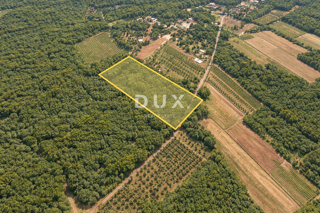 Zemljišče Marčana, 4.834m2