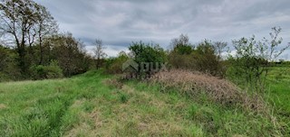 Žminj, 15.000m2