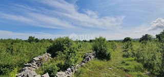 Labin, 7.884m2