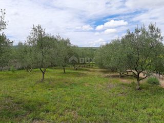 Pridraga, Novigrad, 1.080m2