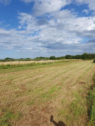 ISTRA, LIŽNJAN Gradbeno zemljišče v Muntiću 900 m2