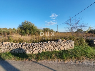 ZADAR, PRIDRAGA - PRILOŽNOST! Oljčni nasad na gradbišču