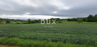 ISTRA, BARBAN - Kmetijsko zemljišče ob robu urbanizacije z dostopno cesto! Odlična priložnost!