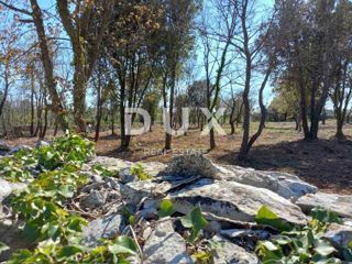 ISTRA, RAKALJ - Gradbeno zemljišče z velikim potencialom