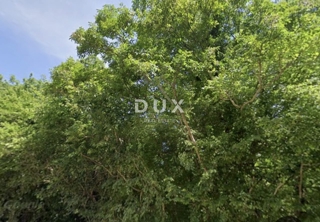 ISTRA, PERUŠKI - Kmetijsko zemljišče 41600 m2