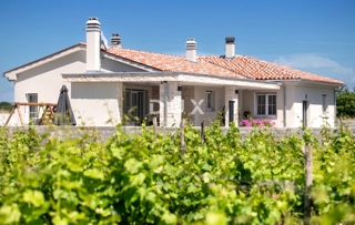 Hiša Marčana, 145m2