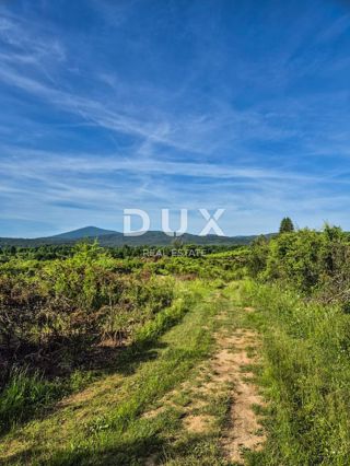 SLUNJ, TRŽIĆ - 77.083 m2 zemljišča s hišo, investicijska priložnost