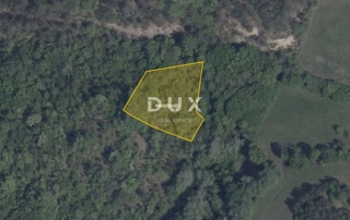 ISTRA, PAZIN, CEROVLJE – Zemljišče 1.557 m², pašnik