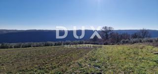 ISTRA, PIĆAN - Gradbeno zemljišče, oljčni nasad, vinograd, njiva, popolna samota in fantastičen razgled