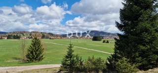 DELNICE, RAVNA GORA - zemljišče s skupno površino 13400 m2