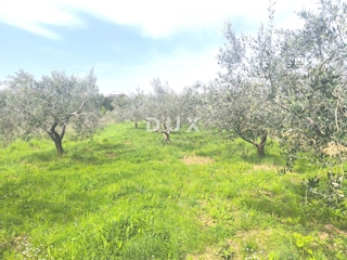 Zemljišče Premantura, Medulin, 1.010m2