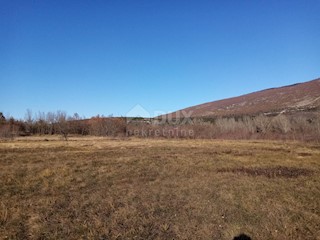 Šušnjevica, Kršan, 12.643m2