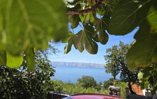 Novi Vinodolski, Smokvica Krmpotska, hiša z dvema apartmajema