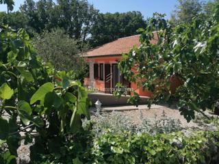 Samostojna hiša v naravi z velikim zemljiščem