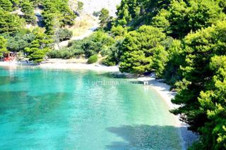 Živogošće - hiša s 7 apartmaji v bližini plaže