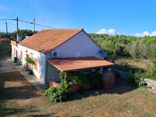 Ždrelac - hiša z vrtom na mirni lokaciji