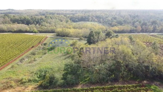 Istra, kmetijsko zemljišče na robu zazidljive cone