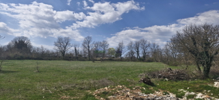 Istra, okolica Svetvičenta, stavbno zemljišče z izdanjem gradbenega dovoljenja