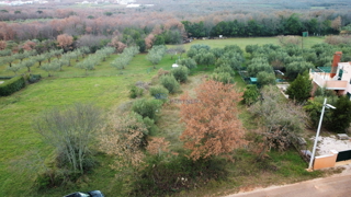 Gradbeno zemljišče s pogledom na oljčnjake, okolica Poreča