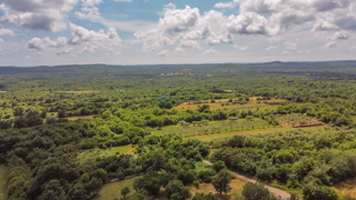 Istra, Kanfanar, luksuzna vila z bazenom