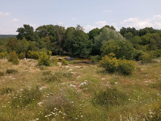Istra, Bale, kmetijsko zemljišče