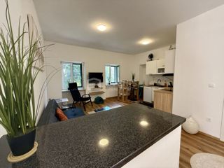 Centar, Rijeka, 100m2