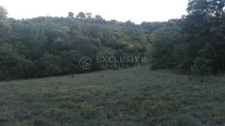Zemljišče Trviž, Pazin - Okolica, 27.000m2