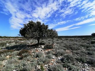 Zemljišče Osor, Mali Lošinj, 76.000m2