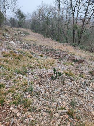Zemljišče Brseč, Mošćenička Draga, 7.621m2