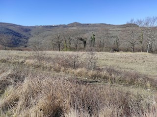 Zemljišče Brkač, Motovun, 5.373m2