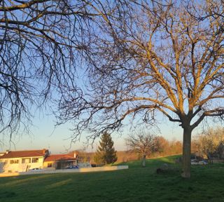 Zemljišče Sveti Petar u Šumi, Sveti Petar U Šumi, 3.342m2