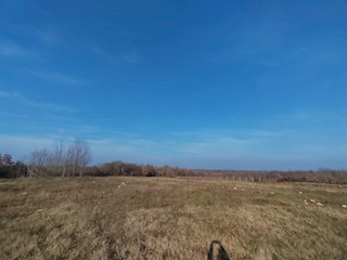 Gradbeno zemljišče 5 km od Poreča, robna parcela