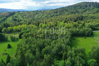Zemljišče Ravna Gora, 4.824m2