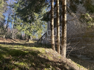 Hiša Sunger, Mrkopalj, 450m2